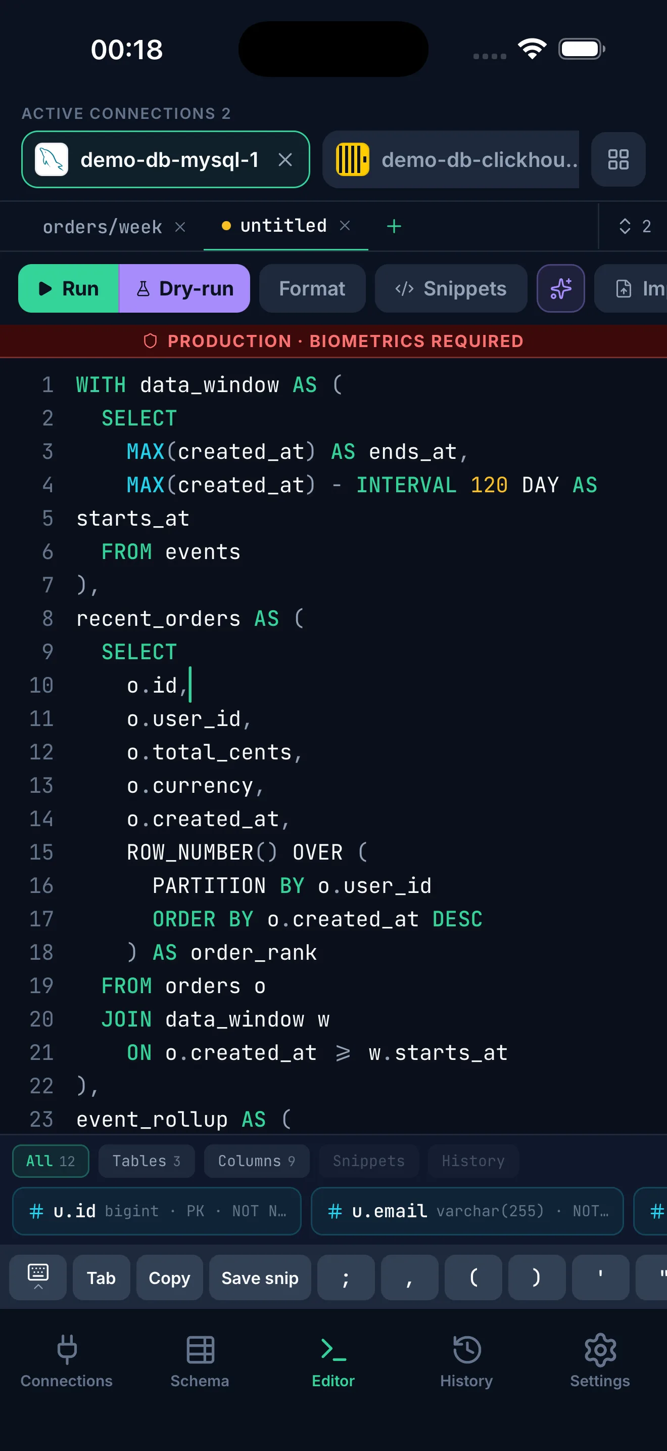DBPort SQL editor with snippets and dry-run
